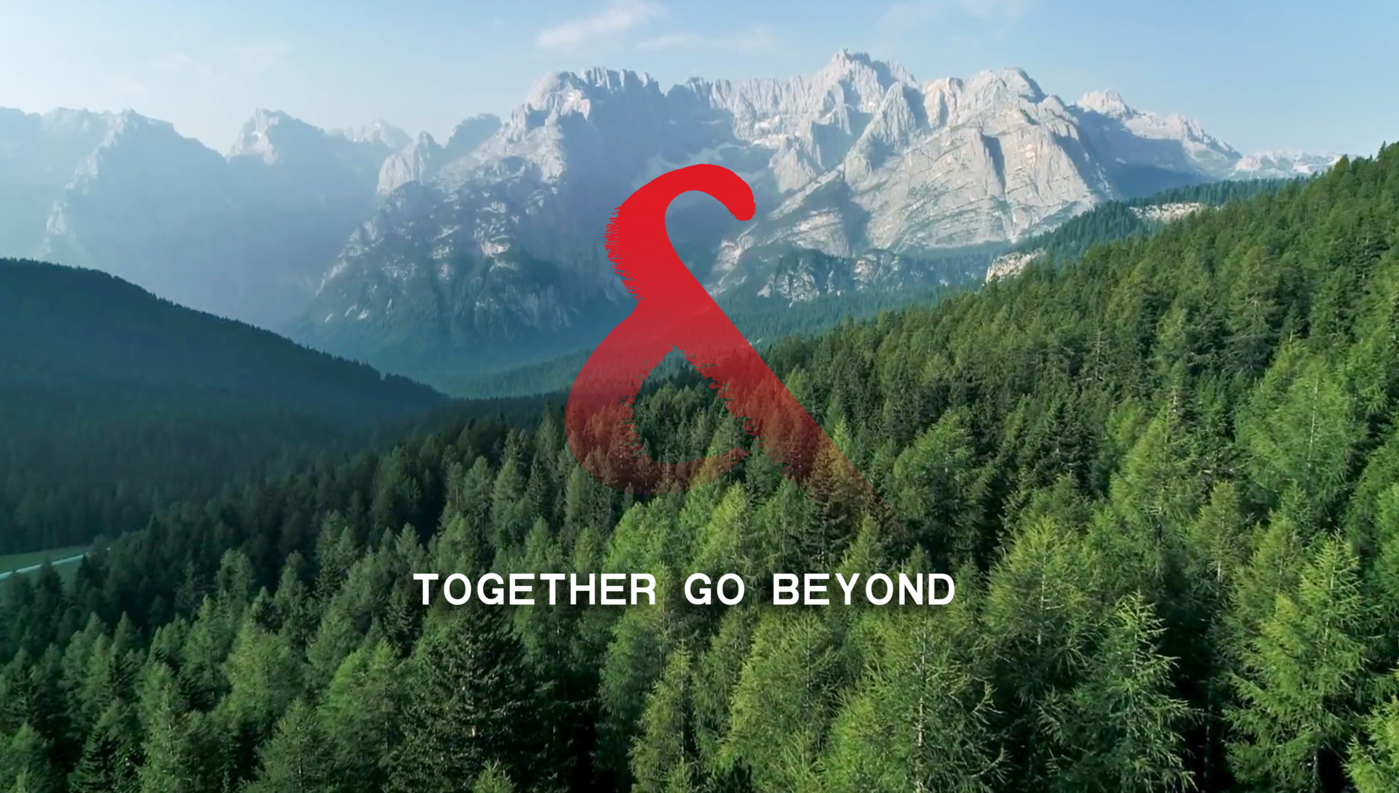 C&D Paper & Pulp Corporate Video