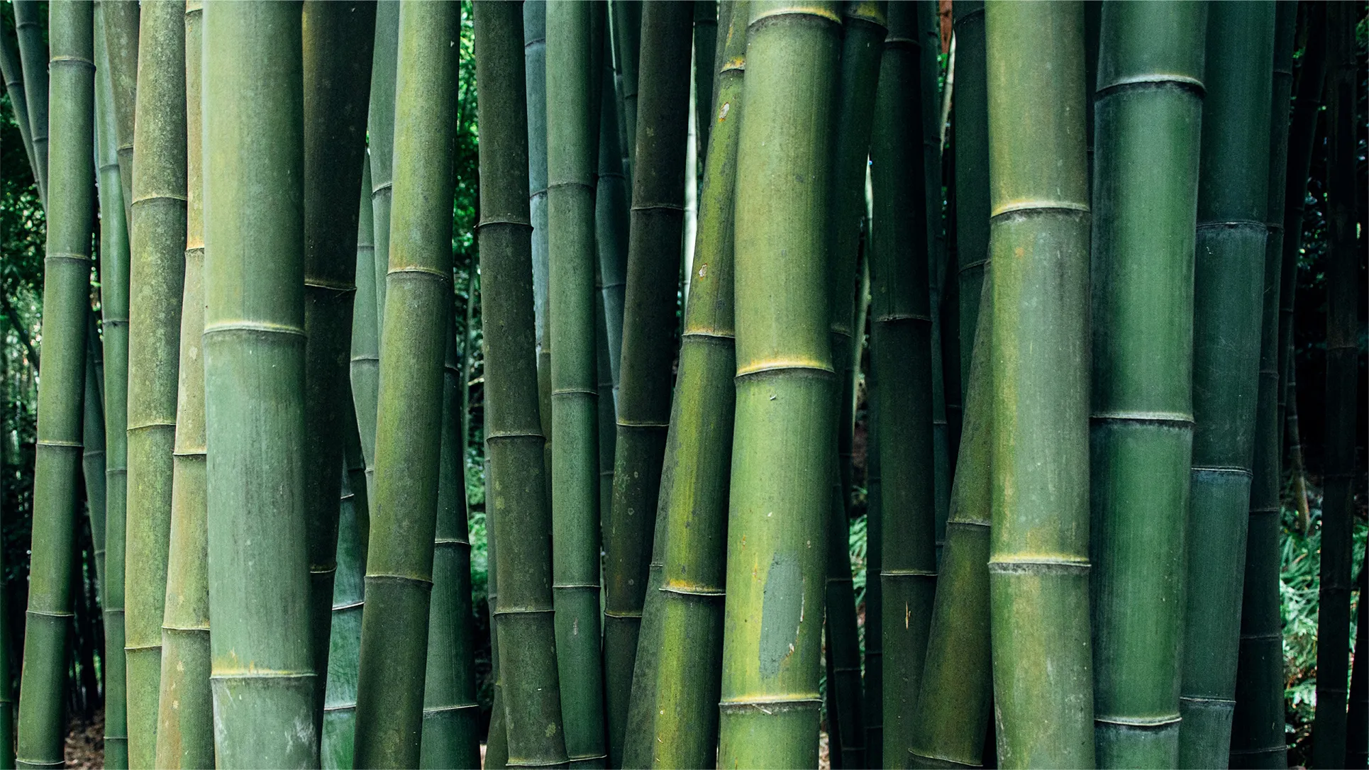 Green Industrial Chain